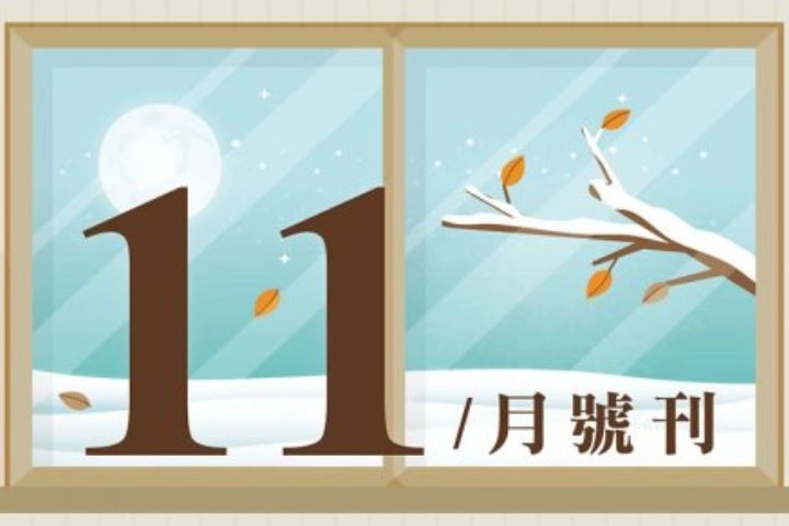 11月特賣DM