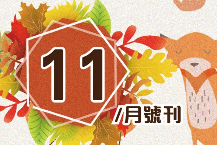 11月特賣DM