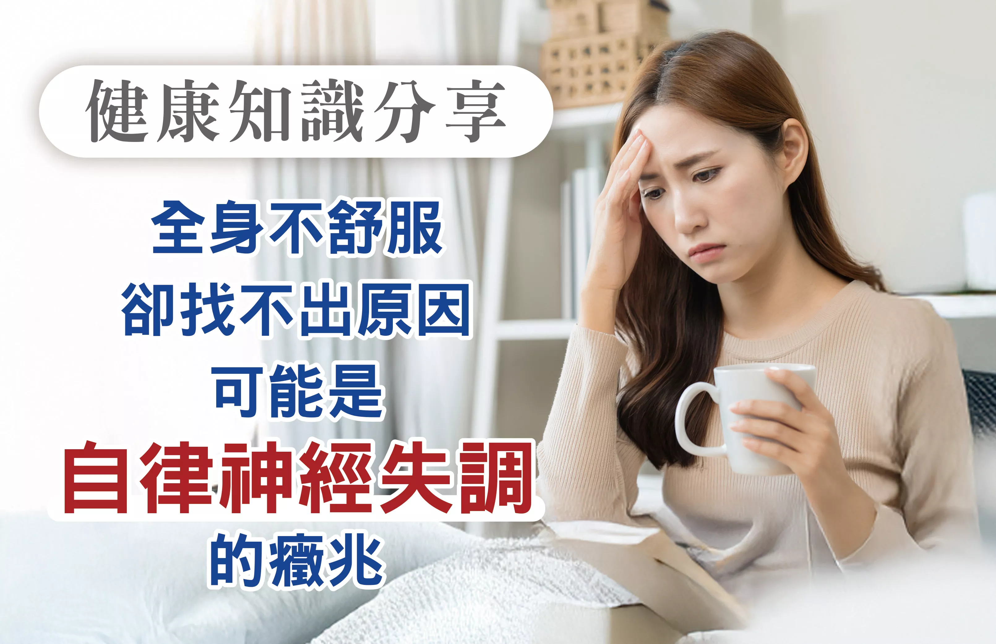 11月會員通知單