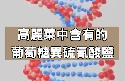 ★每天吃高麗菜就能遠離疾病！？讓人也想嘗試的驚人健康效果！★