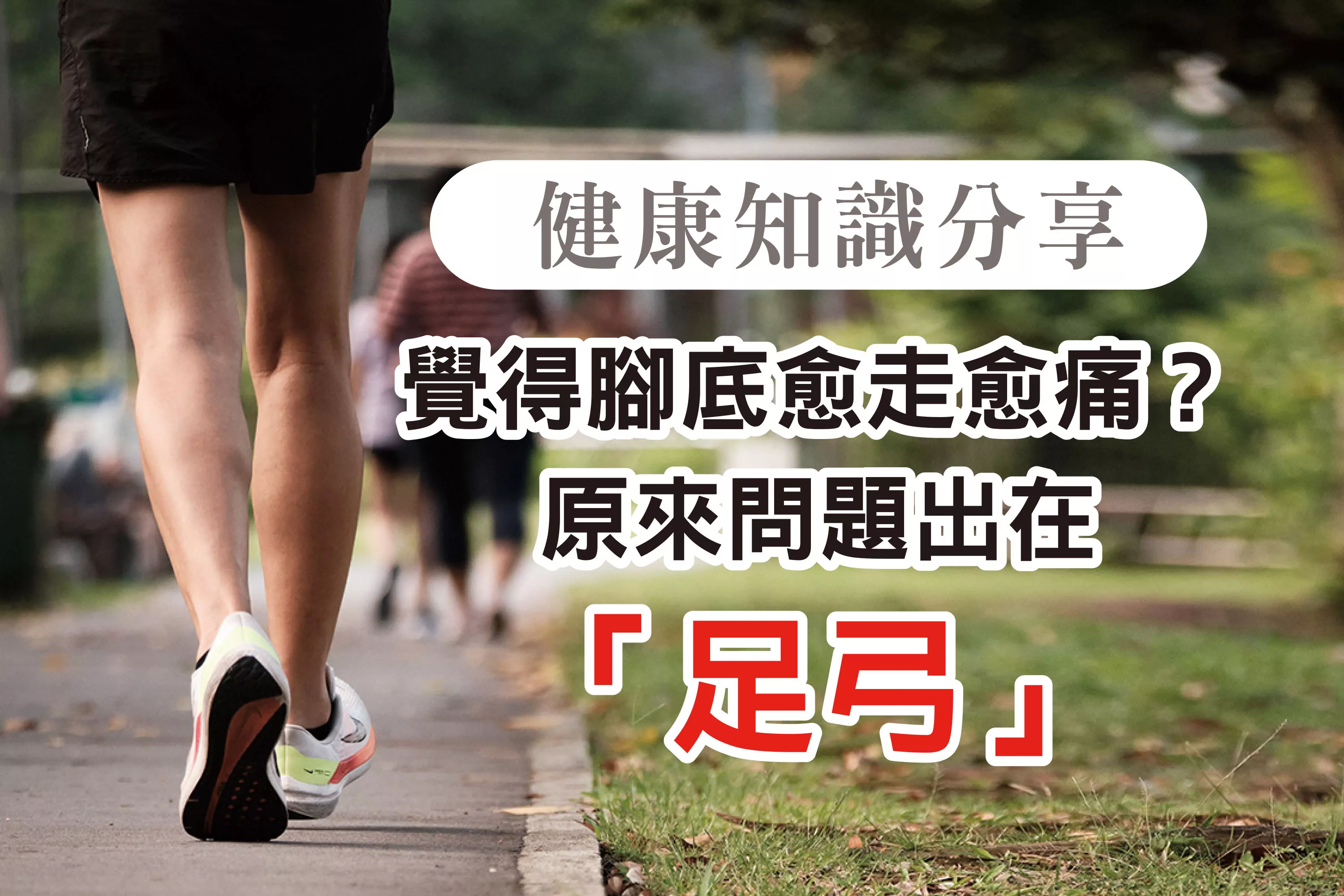 9月會員通知單