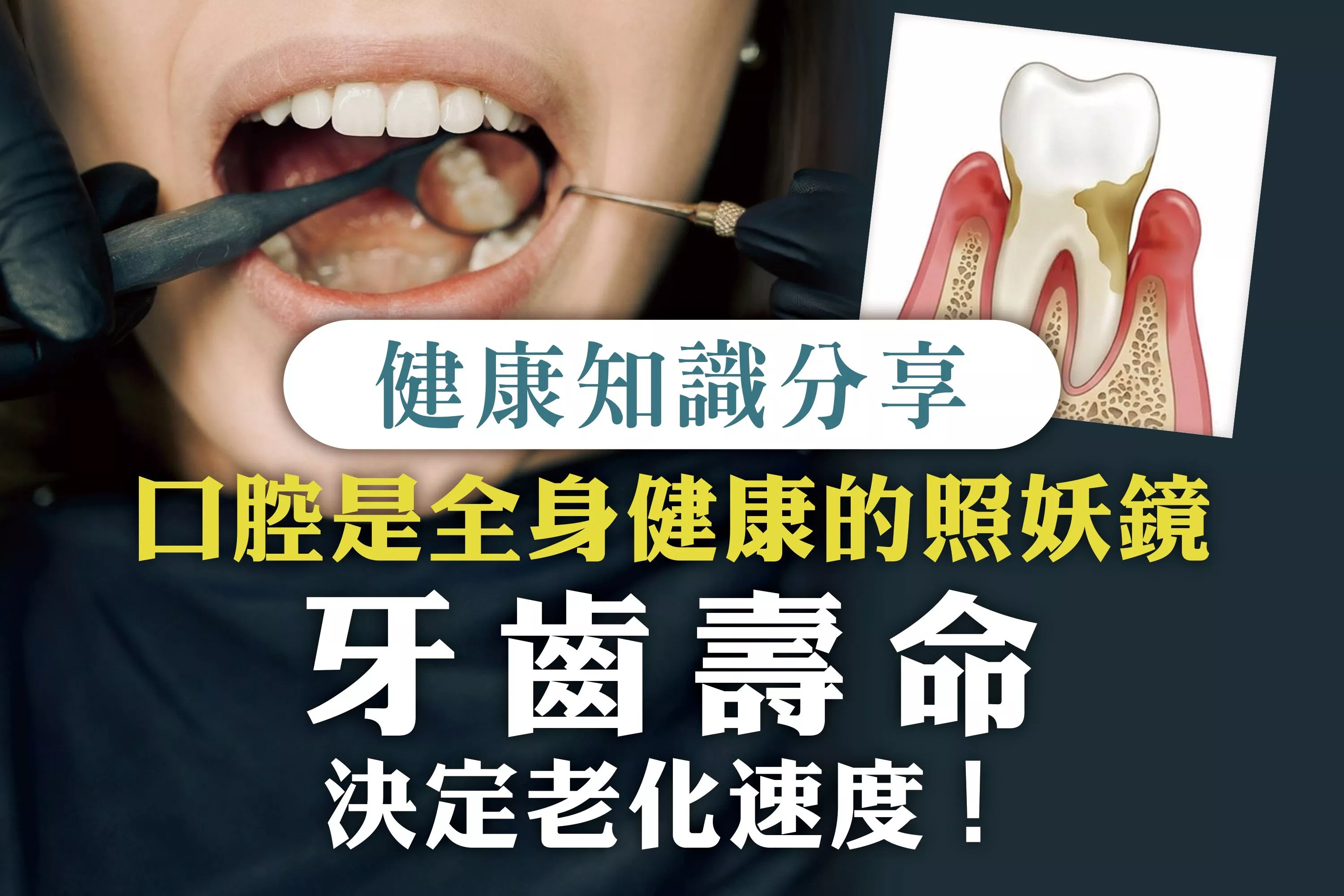 10月會員通知單